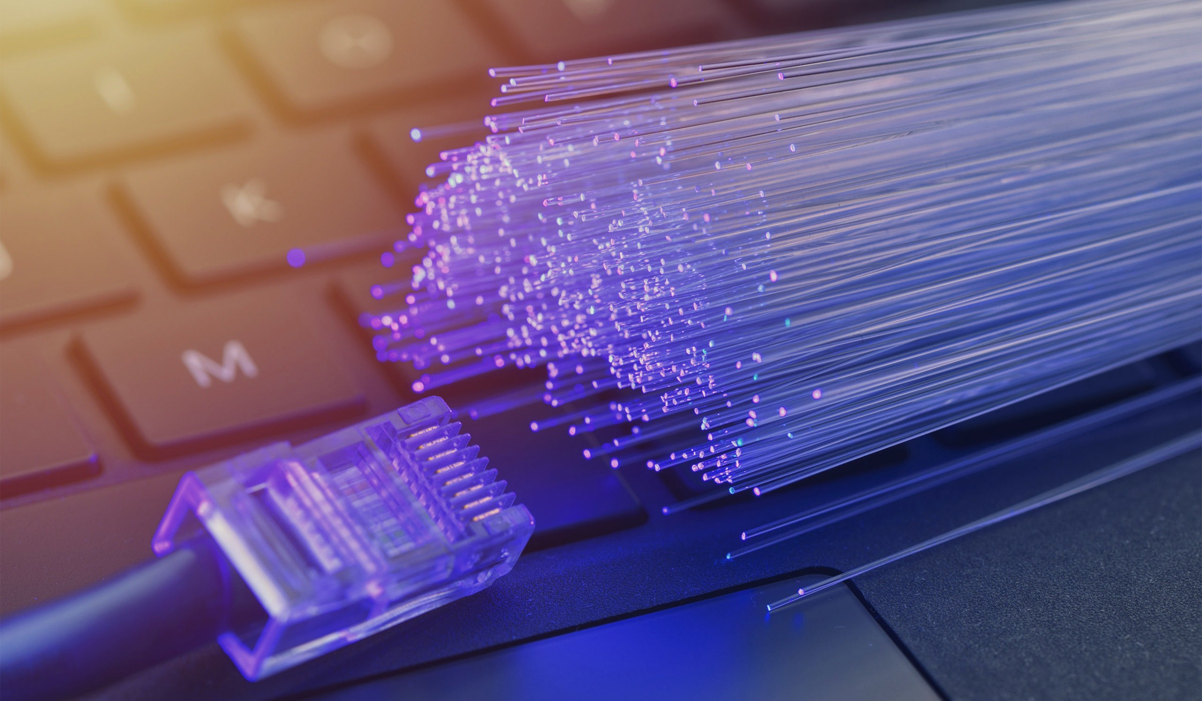 immagine in evidenza