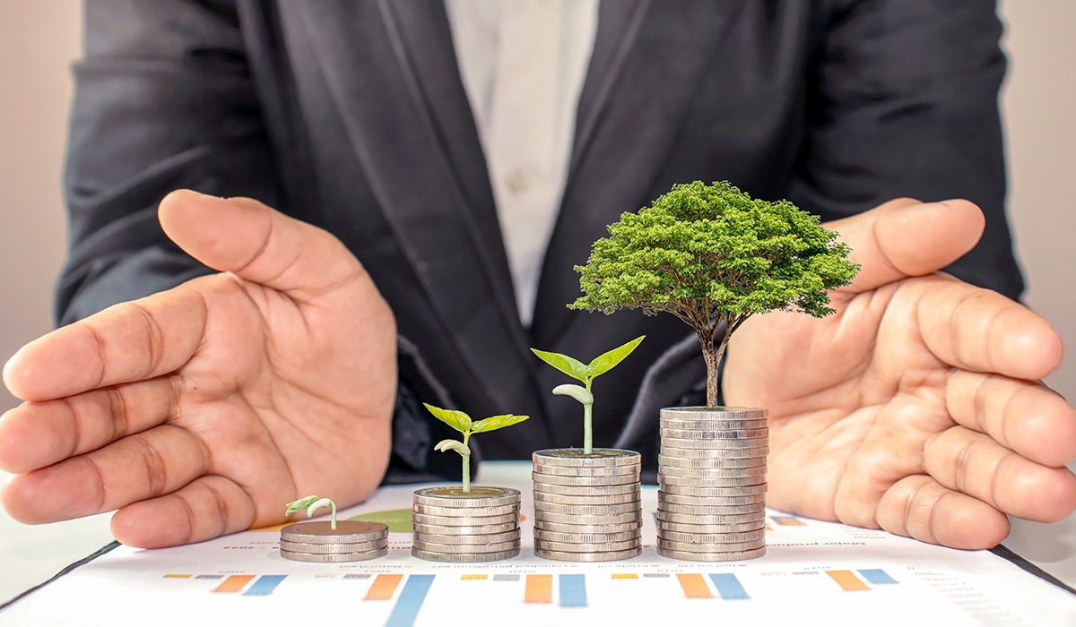 pmi investimenti business green