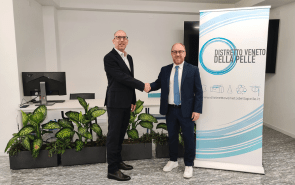 axera distretto veneto della pelle